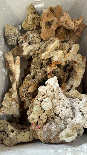 High quality large aquarium - quality,
