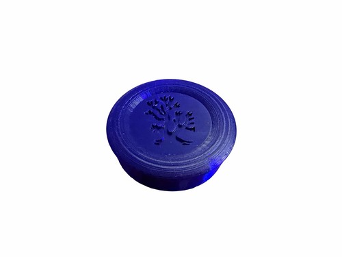 Large coral colony twist - colony,