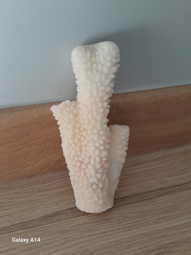 Pure bleached white genuine - pure,