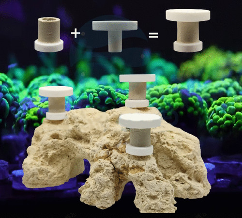 Movable coral frag plugs - frag,