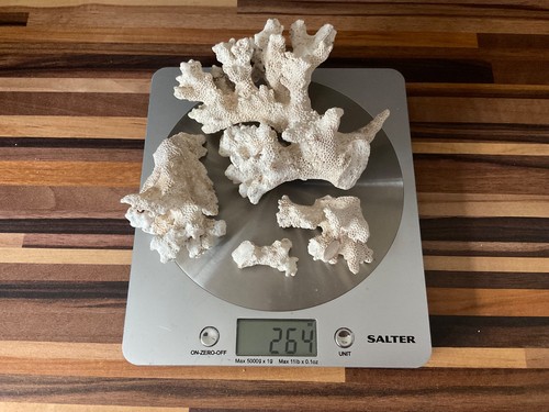 Dry reef coral for marine - dry,