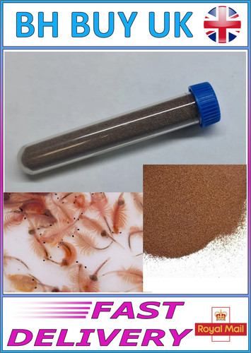 Artemia brine shrimp eggs - brine,