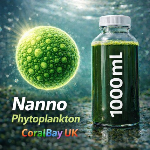 Litre nannochloropsis - 1,