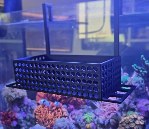 Marine mushroom basket with - basket,