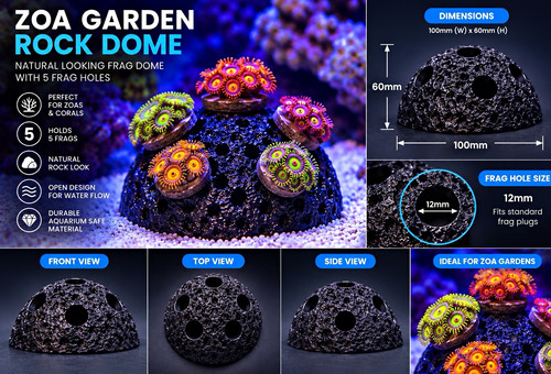 Zoa garden rock dome - zoa,