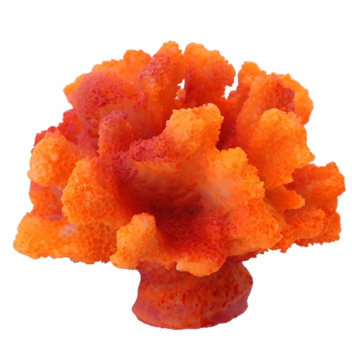Aquariums corals decors small - decors,