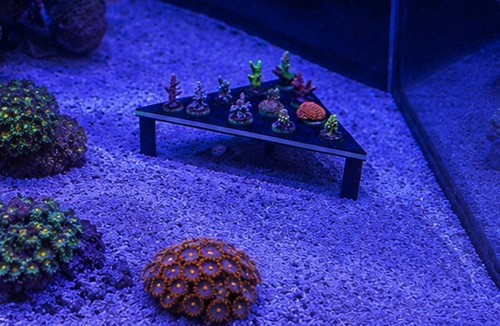 Hole corner frag rack - hole,