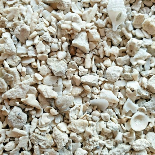 Crushed coral with - coral,