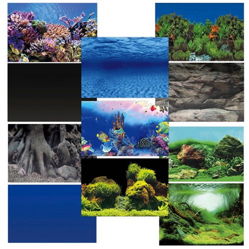 Superfish deco poster aquarium - deco,
