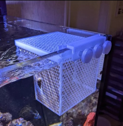 Coral fish basket invert - basket,