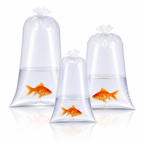 Aquarium fish transport - fish, bags