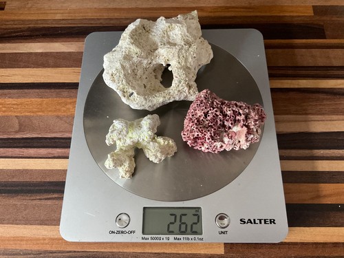 Dry reef coral - dry, rock