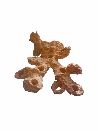 Magnetic coral frag - magnetic, rock