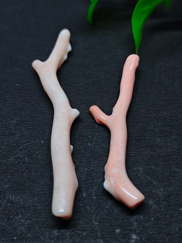 Japanese white coral - japanese,