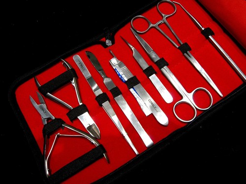 Stainless steel coral - steel,