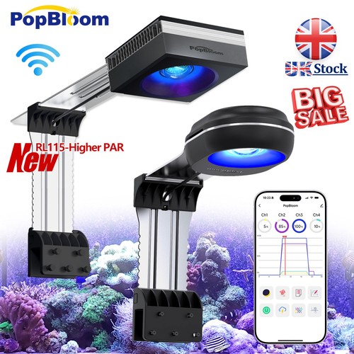 Popbloom rl60 rl90 - rl60, marine