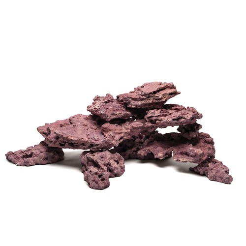 Marco rock coral - d-d,