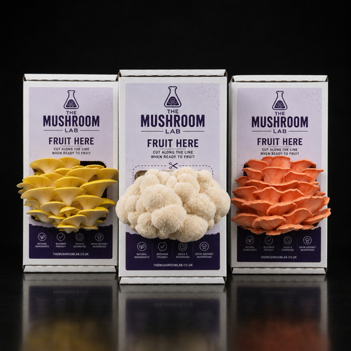 Mushroom grow kit mix - mushroom, match
