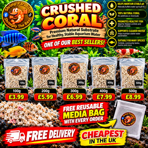 Crushed coral carib - coral, sea
