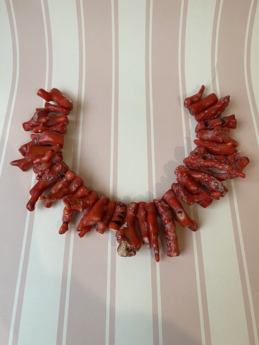 Coral branches - coral,