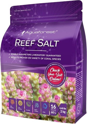 Reef salt aquarium - reef,